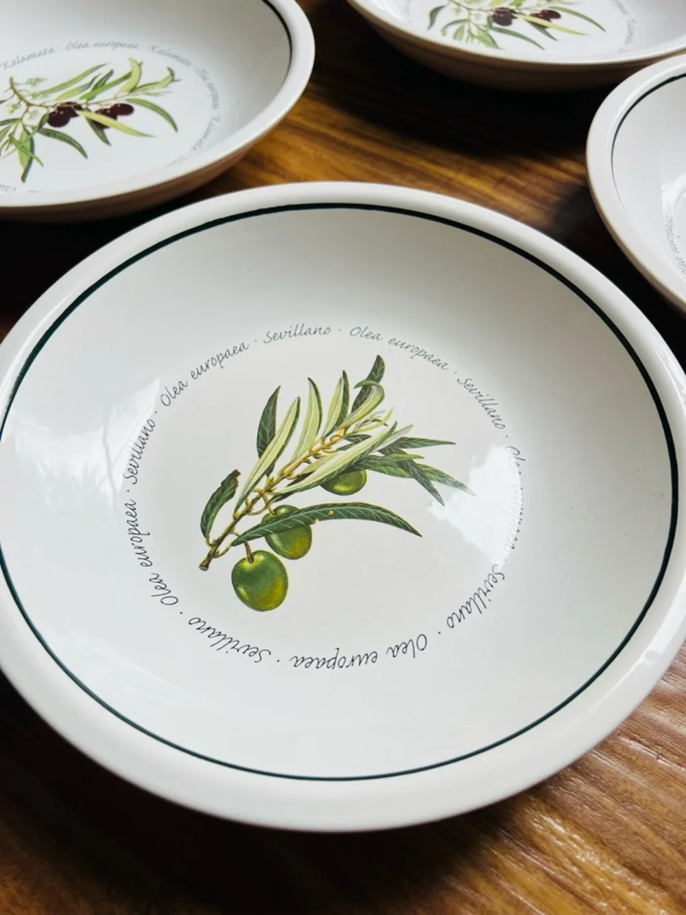 Williams Sonoma Set 6 Pasta cioppino Bowls 9 1/2” Olives Kalamata Olea Europaea